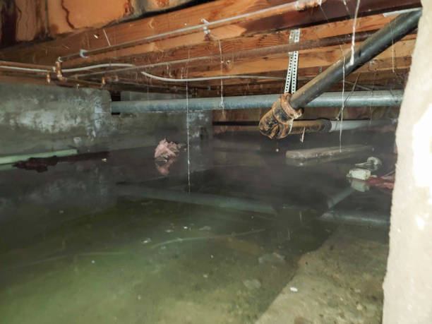 Best 24-hour water damage restoration  in South Gate, CA