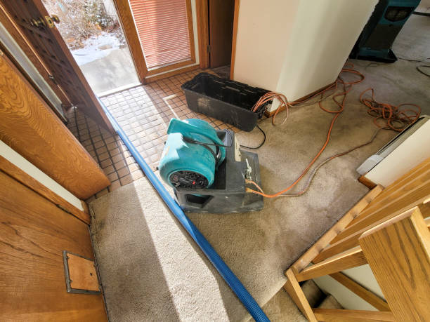 Best Flooded house restoration  in South Gate, CA