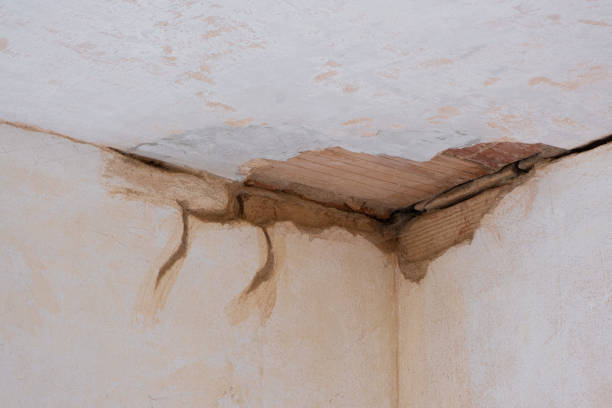 Best Emergency water damage restoration  in South Gate, CA