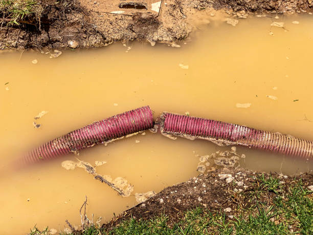 Best Flood restoration services  in South Gate, CA