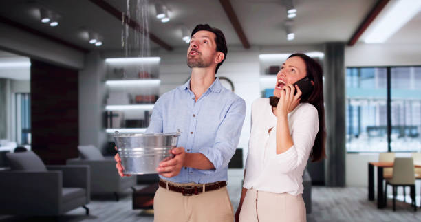Best 24-hour water damage restoration  in South Gate, CA