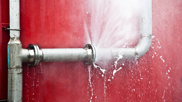 Carpet water damage restoration in South Gate, CA